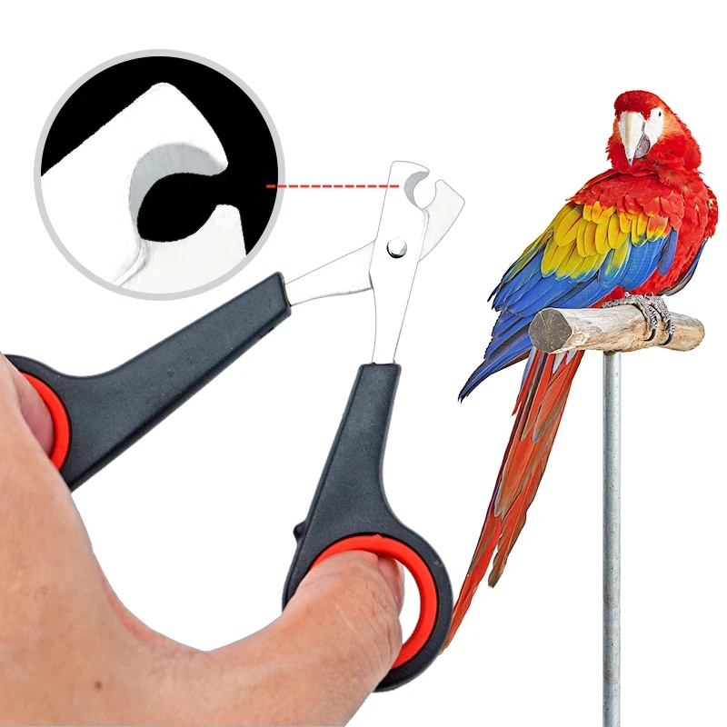 12cm Nożyczki do pazurów dla p – Grooming Scissors recenzja i cena
