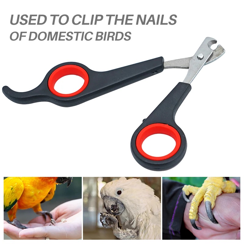 12cm Nożyczki do pazurów dla p – Grooming Scissors recenzja i cena